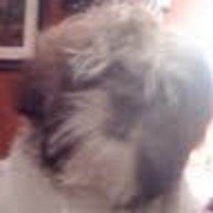 Meet your Posher, Jamie f.